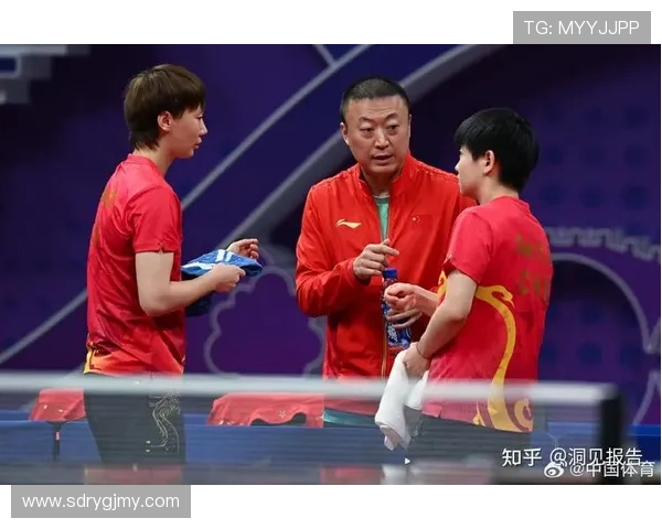 乒乓球盛宴：深入探讨杭州乒乓球队的实力与未来发展潜力