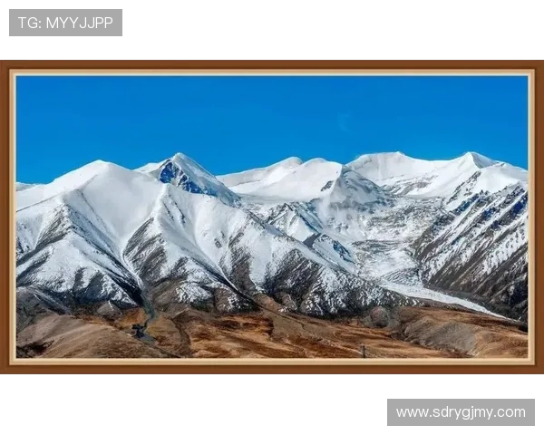 王丽的极限运动人生探索与挑战的深度对话与心路历程分享