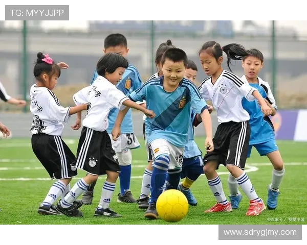 赵伟独家分享排球心得与技巧助你提升竞技水平和团队合作能力