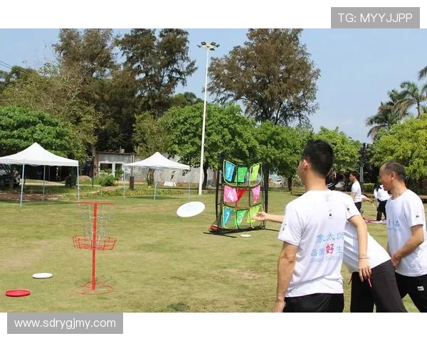 飞盘力量排行榜揭晓北京飞盘队稳居第一名引领潮流