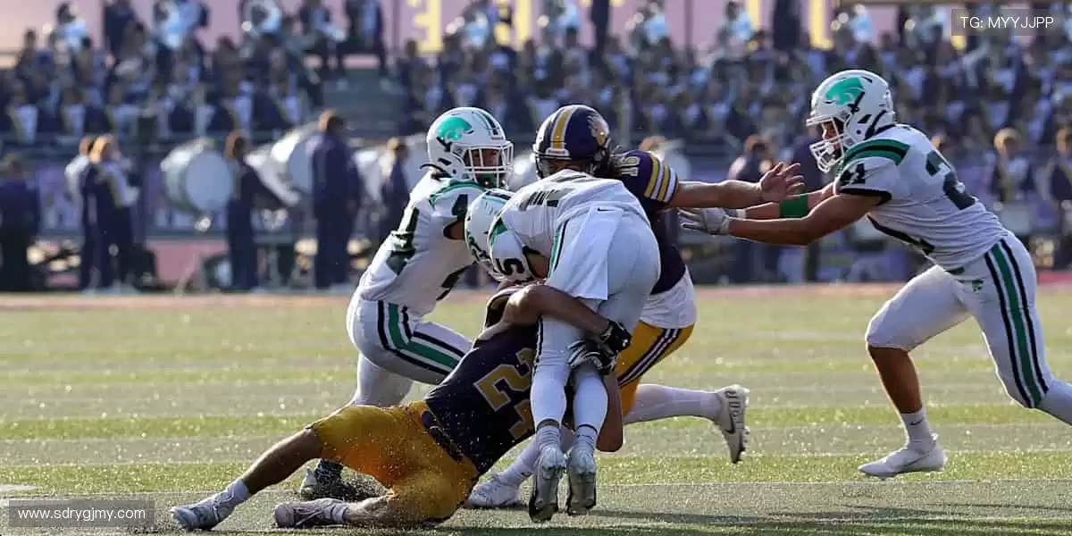 把热爱穿在身上，让每一件周边都成为你的骄傲！👕